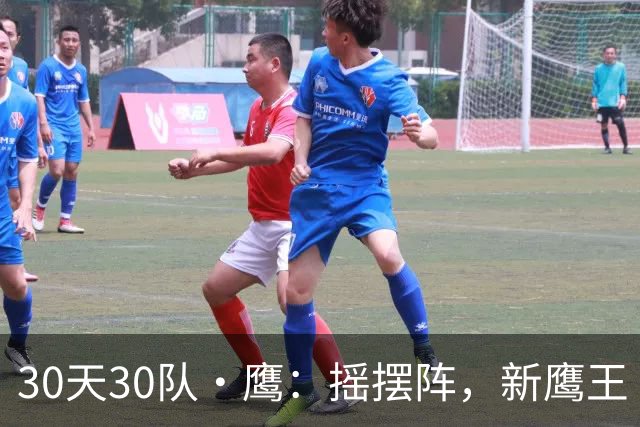 30天30队·鹰：摇摆阵，新鹰王